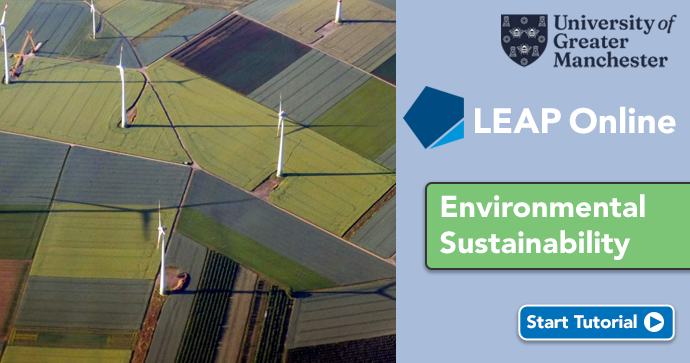 Environmental Sustainability_Title Card
