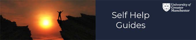 Wellbeing Guides Web Banner