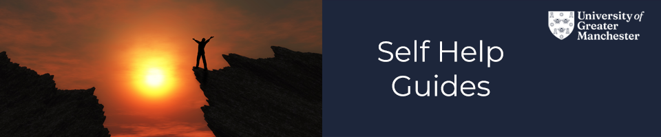 Wellbeing Guides Web Banner